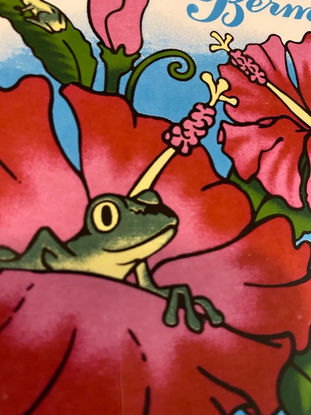Hibiscus Frog Decorative Tile